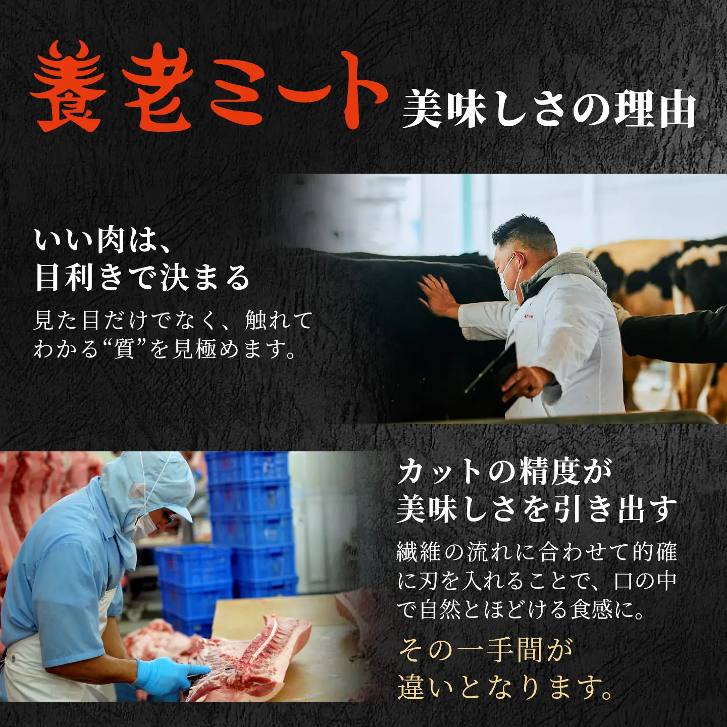 5等級 シャトーブリアン入り 飛騨牛 定期便 全6回 A5等級 すき焼き しゃぶしゃぶ ステーキ 焼肉 BBQ ロース 肩ロース ロースステーキ カルビ 切り落とし 贅沢 モモ カタ ギフト 6ヶ月 定期 おすすめ 人気 飛騨 牛 肉 和牛 黒毛和牛 ブランド牛 養老ミート