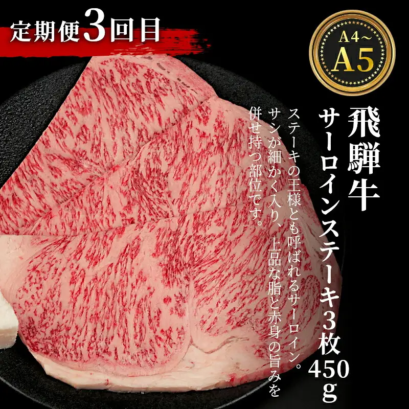 全3回 飛騨牛 ステーキ定期便 A5 A4 ステーキソース付き リブロースステーキ ももステーキ サーロインステーキ リブロース モモ サーロイン ステーキ 牛 冷凍 和牛 牛肉 にく お肉 肉 飛騨 霜降り 赤身 肉のひぐち