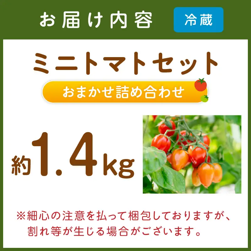 ミニトマトセット（おまかせ詰め合わせ）約1.4kg《先行予約》【1228-1】