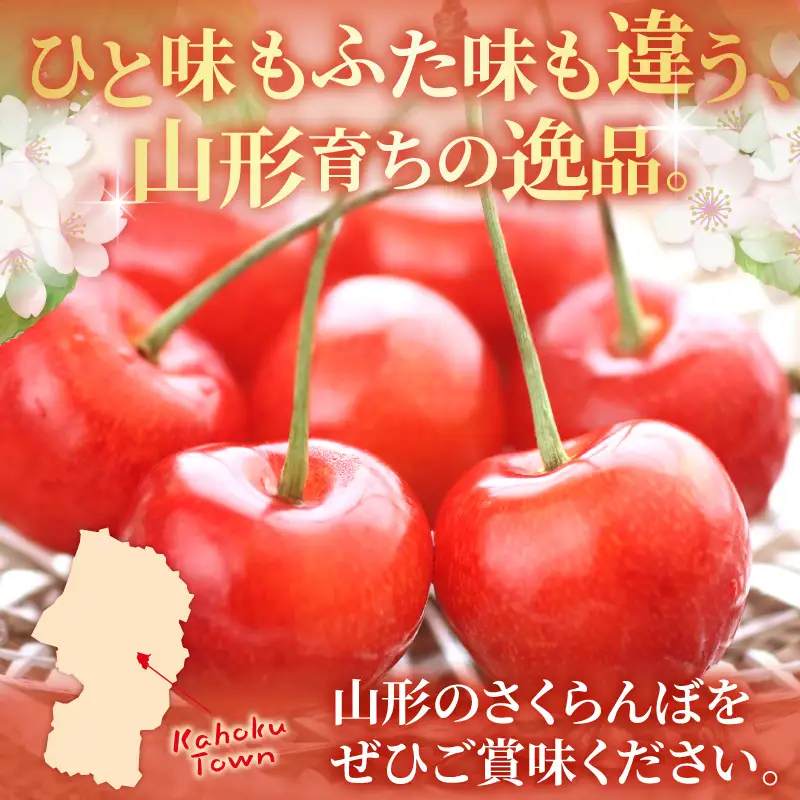 令和9年産さくらんぼ やまがた紅王 300g 3L玉 さくらんぼ