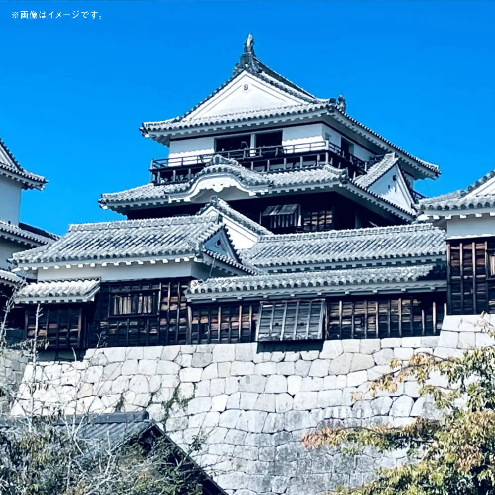 愛媛県内の宿泊施設に泊まるふるさと納税旅行クーポン 15,000円分 旅行クーポン 旅行券 クーポン 券 旅行 観光 国内旅行 家族旅行 ひとり旅 愛媛県旅行 宿泊 カップル 夫婦 親子 家族 ファミリー （ 1138 ）