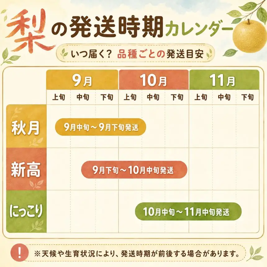 梨 にっこり 大玉 2玉 秀品 2kg 【栃木県共通返礼品】栃木県産
