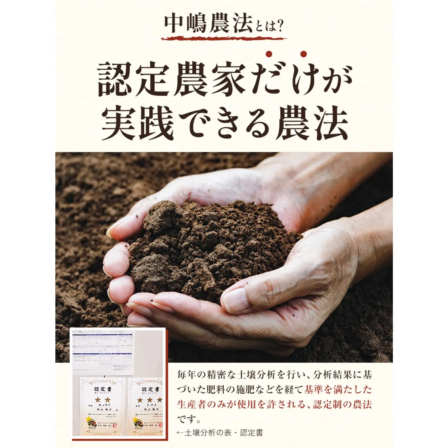 きゅうり 約2.8kg 秋山農園