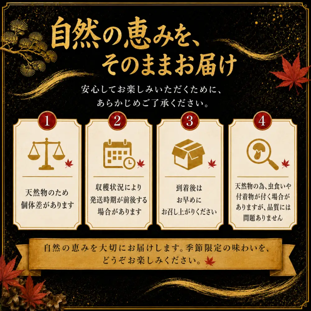 【先行予約】松茸 250g 岩手町産 天然 松茸