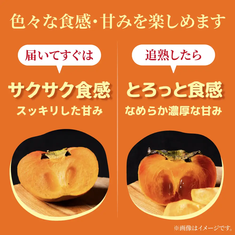 令和8年産 柿 11月～発送予定 訳あり 柿 富有柿 4kg mt2086 くどみフルーツ農園