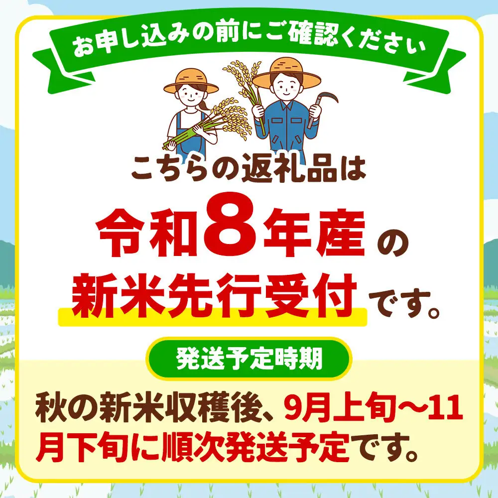 《令和8年産 新米予約》【白米】真田のコシヒカリ小松姫 15kg（5kg×3袋）金井農園