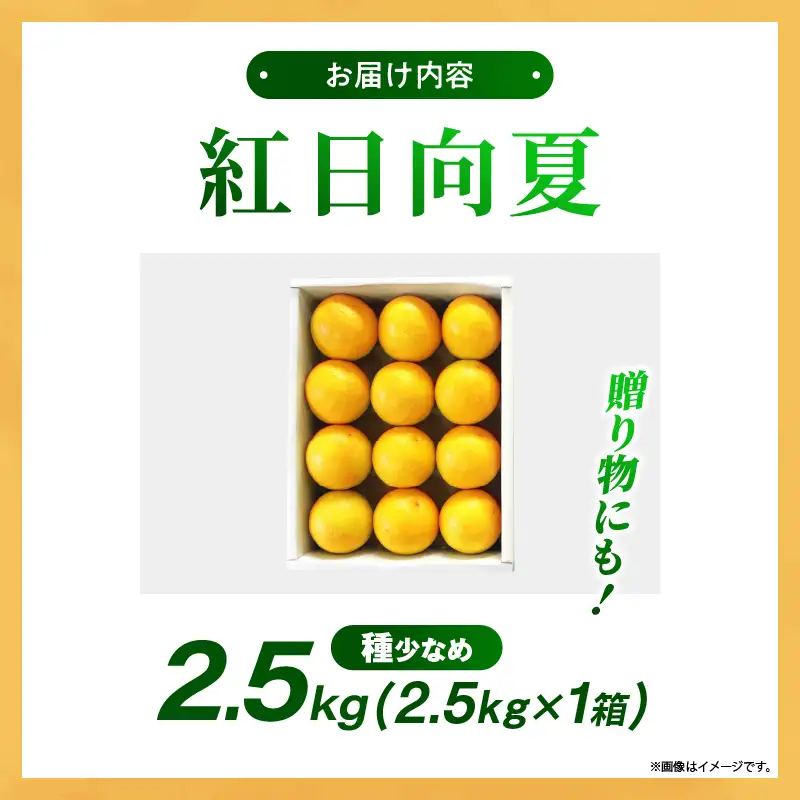 【先行予約】紅日向夏 2.5kg（小核）果物 フルーツ くだもの 柑橘 種少なめ フルーツサンド おやつ スイーツ デザート ジャム おすすめ ギフト 贈り物 贈答 プレゼント おすそ分け お返し 宮崎県 綾町 送料無料【JA綾町】_A0114-2441