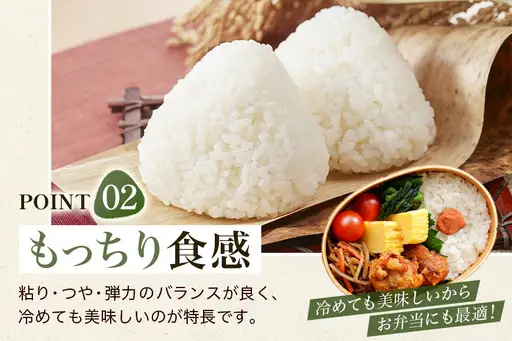 【3回定期便】【ふるさと納税】ひのひかり 米 お米 白米 20kg 20キロ 福岡県産 うきは市 国産 精米 ご飯 ごはん おにぎり お弁当 人気 おすすめ 家庭用 送料無料 新米 ストック 厳選 農家直送 大容量【JA福岡くるめ にじの耳納の里】】