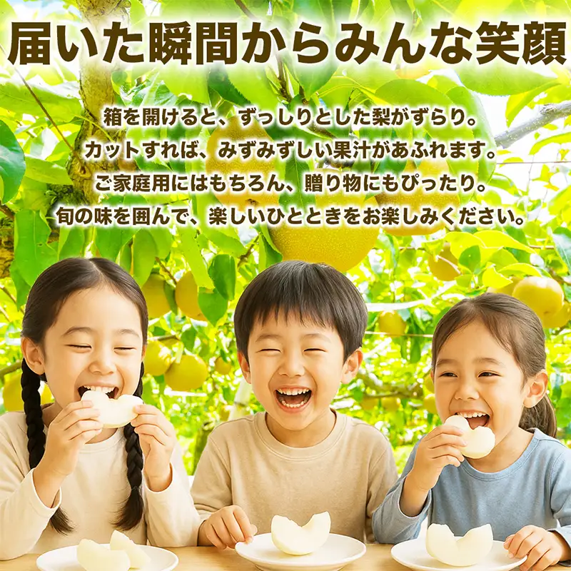 秋月梨 1.8kg ナシ 梨 果物 くだもの フルーツ FKP9-729