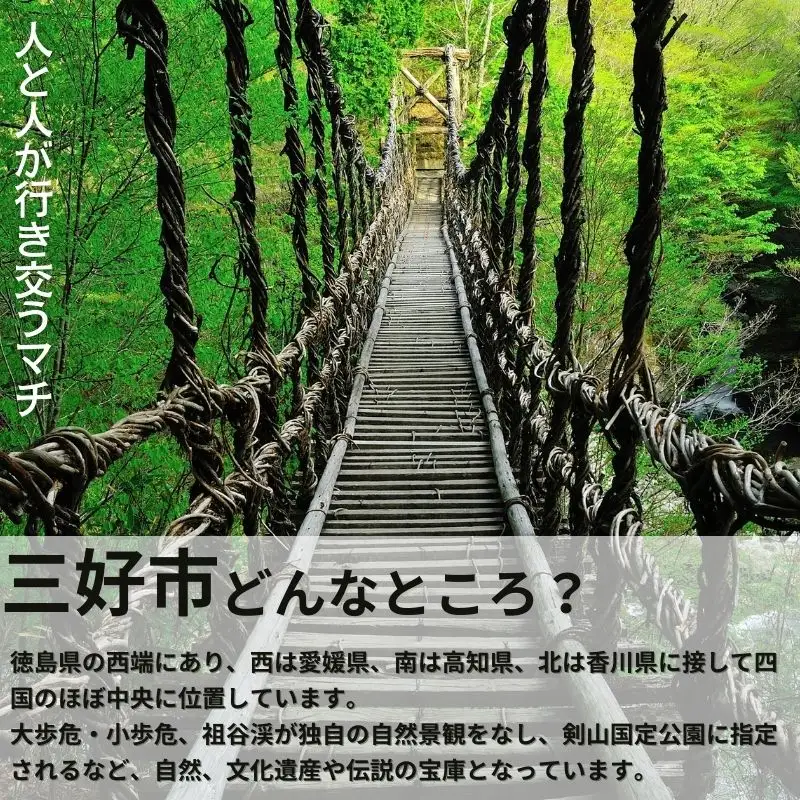 《 先行予約 》 ヒノヒカリ 新米 令和8年度 20kg 米 【 玄米 】