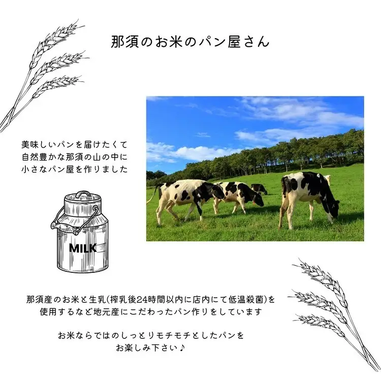 【6ヶ月定期便】お米のロスパンセット 12～15個 | ロスパン パン 米粉 訳あり もったいない ぱん 詰め合わせ 食べ比べ しっとり モチモチ おいしい 朝食 ベーカリー 冷凍 セット 国産 那須 栃木県 那須町 那須のお米のパン屋さん 〔P-488〕