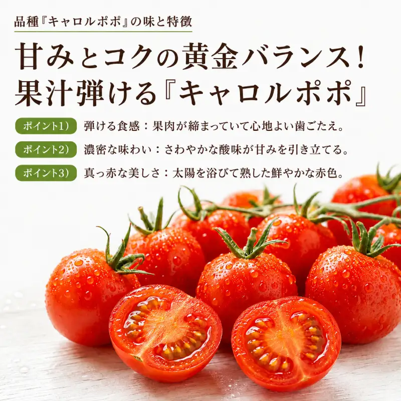 ミニトマト「キャロルポポ」2kg 栽培期間中 農薬・化学肥料不使用 北海道 仁木町 トマト ミニトマト 野菜 [自然農園]