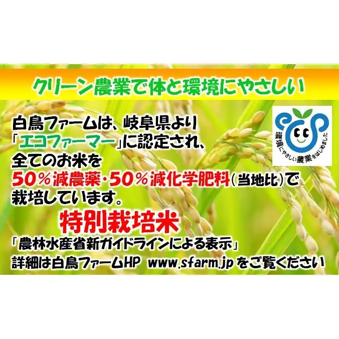 特別栽培米 【 令和8年産 】 精米 20kg（白米/5分/7分ツキ可）【 ハツシモ 】玄米は別に出品