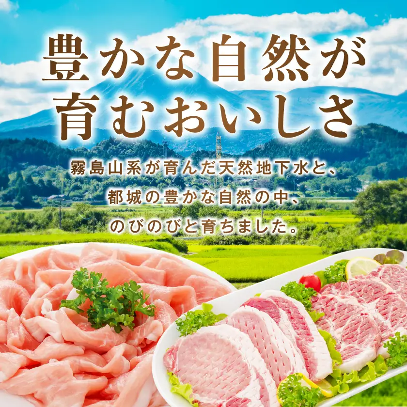 「クイーンハーブ豚」満喫定期便(6ヶ月)〔TAC6-29-013〕_(都城市)