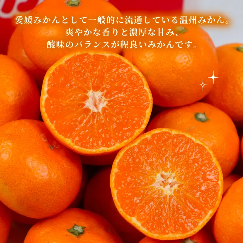 大玉 温州みかん 約 1.5kg 矢野青果 温州みかん B005-171046