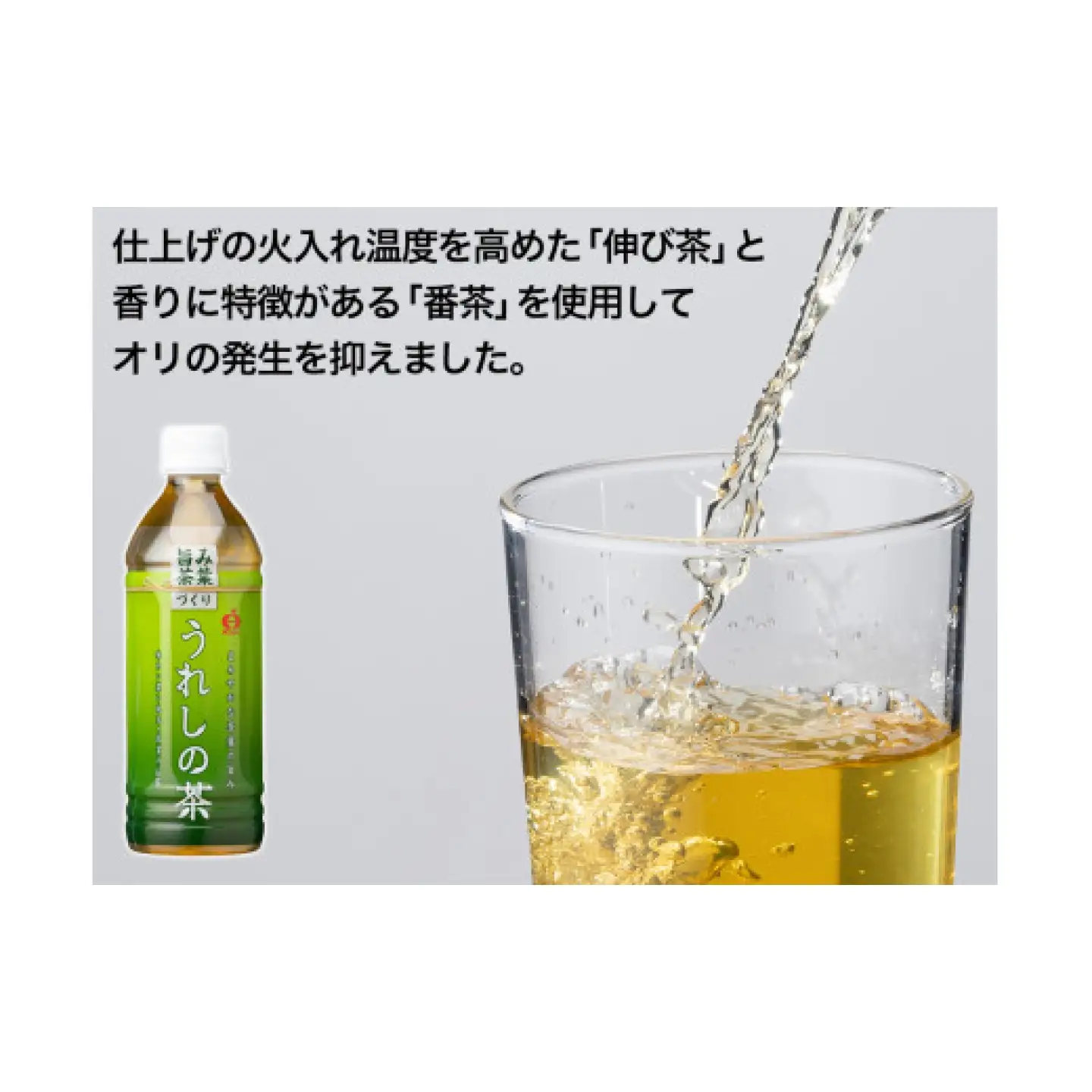 うれしの茶 500ml×24本入 / お茶 緑茶 嬉野茶 ペットボトル / 佐賀県 / さが風土館季楽[41AABE106]