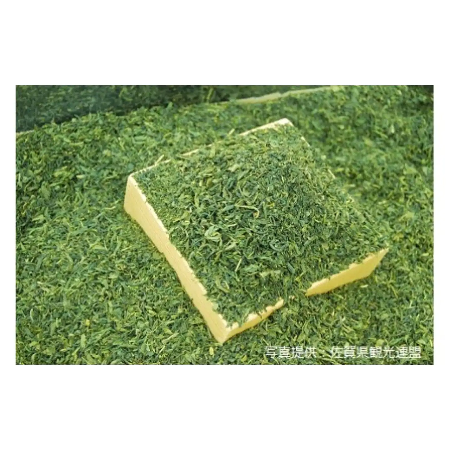うれしの茶A （玉緑茶 80g×3袋） / ギフト お茶 嬉野 緑茶 煎茶 / 佐賀県 / 佐賀県農業協同組合 茶販売事業所[41AIAG002]