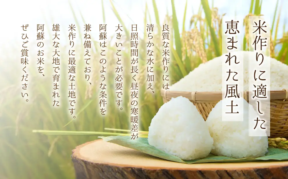 コシヒカリ 令和8年産 5kg 【白米】 明徳農場 減農薬 特別栽培米 米 お米 美味しい 寒暖差 湧き水 お取り寄せ 熊本県 阿蘇市