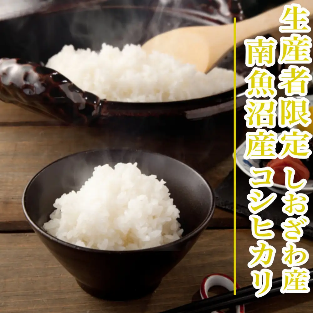 【令和8年産 新米】【1Kg】生産者限定／契約栽培 南魚沼しおざわ産コシヒカリ【銘柄米 精米 こしひかり コシヒカリ 魚沼産 新潟米 お米 米 こめ コメ ご飯 御飯 ごはん】【2026年10月上旬より1ヶ月以内に順次発送予定】