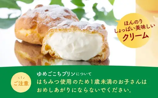 会津ゆめごこちセット卯 ( SP63 ) （ 会津山塩のシュークリーム 約70g × 6個 ／ ゆめごこちプリン 約100g × 3個 ） お菓子 菓子 おかし スイーツ プリン ぷりん シュークリーム 洋菓子 焼菓子 山塩シュークリーム セット 詰め合わせ 食べ比べ