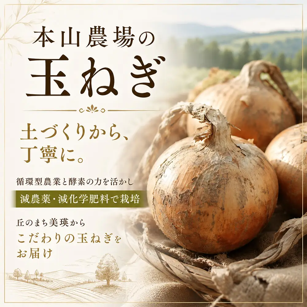 野菜定期便 3回便【令和9年産先行予約】本山農場の野菜定期便（小）野菜 セット