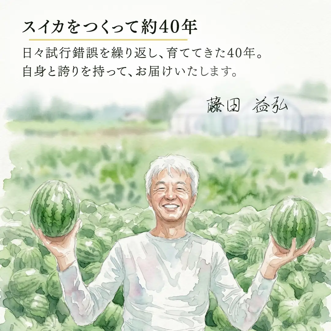 ≪ 2027年 収穫分 ≫ 2026年誕生の新品種 小玉スイカ あまRich 2玉 先行予約 藤田益弘 国産 小玉 スイカ 小玉すいか こだますいか こだまスイカ 小玉すいか 西瓜 フルーツ 果物 くだもの 旬 ギフト 贈答 茨城県 桜川市 [CQ010sa]