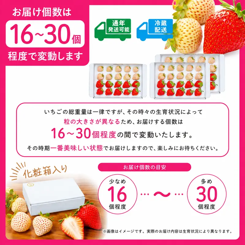 紅白イチゴ　白いちご　夏いちご　いちご詰め合わせ