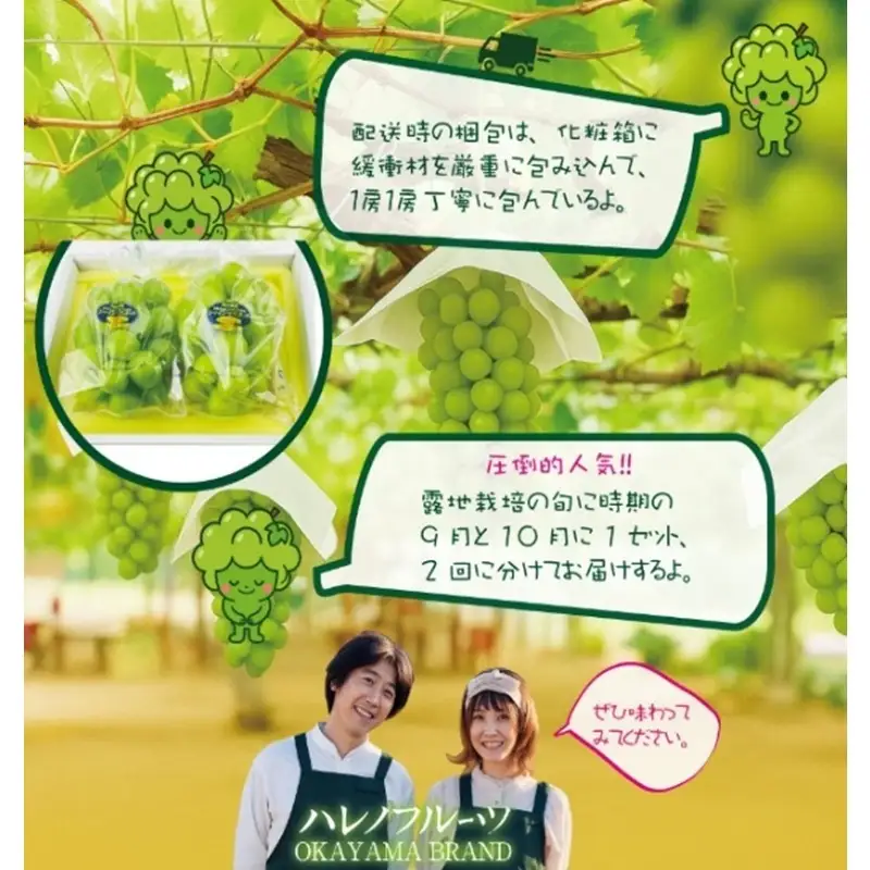 先行予約 2回 定期便 晴王 木熟ぶどう ハレノシャイン シャインマスカット晴王 2房 約1.2kg 9月・10月発送 種無し 皮ごと食べる みずみずしい 甘い フレッシュ 糖度保証 厳選品質 冷蔵 ハレノフルーツ