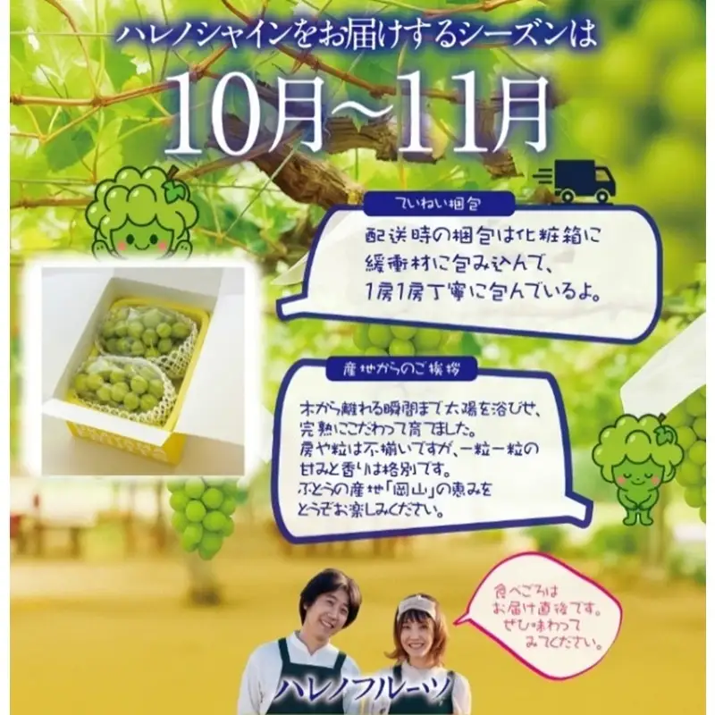 先行予約 訳あり 木熟ぶどう ハレノシャイン シャインマスカット 2房 約1.2kg 10月～11月発送 皮ごと食べる みずみずしい 甘い フレッシュ 冷蔵 晴れの国 おかやま 果物大国 ご家庭用 ハレノフルーツ