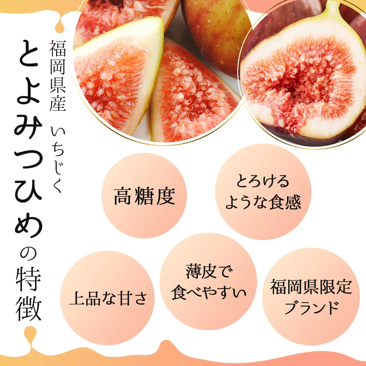 福岡限定!ブランドいちじく「とよみつひめ」約300g×8パック(篠栗町)【NF002】