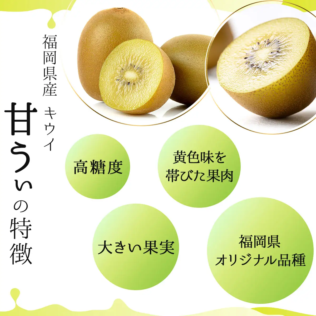 【先行予約】福岡限定!ブランドキウイ「甘うぃ(あまうぃ)」約1.5kg箱(12-15玉)(篠栗町)【NF005】