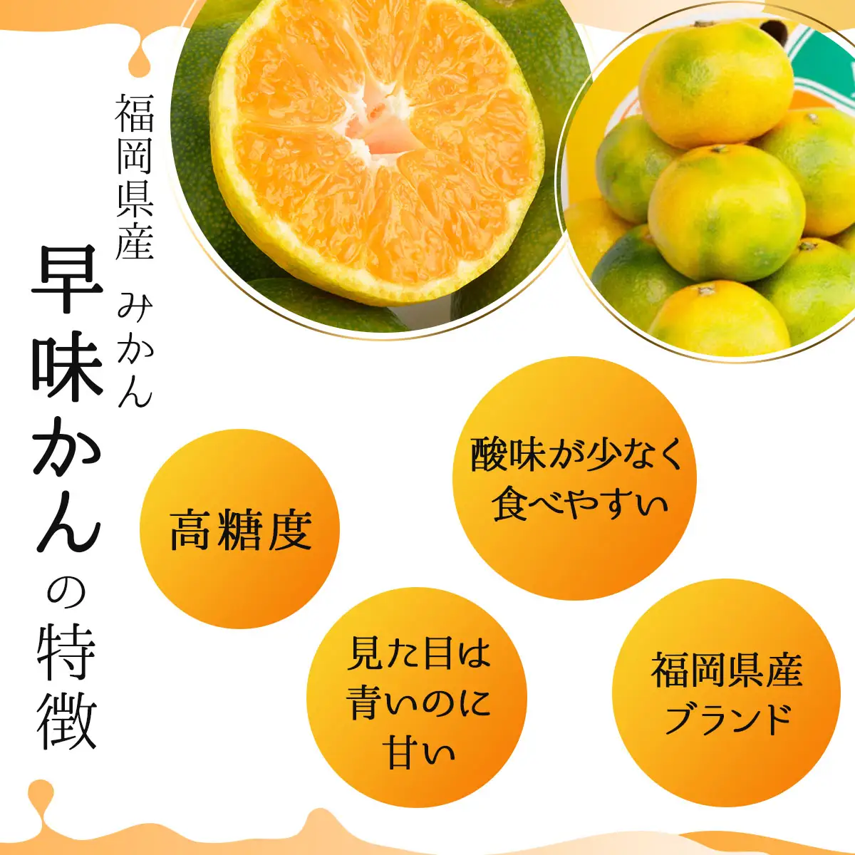 【先行予約】福岡限定!オリジナルブランドみかん「早味かん」約4kg(篠栗町)【NF004】