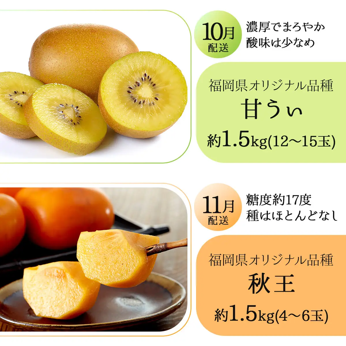 ＜5回定期便＞福岡ブランドの旬のフルーツ定期便 (篠栗町)｜イチジク ミカン キウイ 柿 イチゴ【NF019】