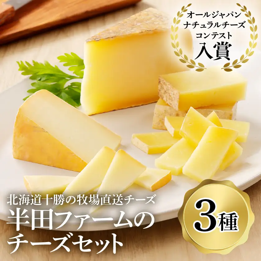 【毎月定期便】北海道十勝大樹町 特選定期便A ( アイス 豚肉 チーズ )全3回【配送不可地域：離島】【4014788】
