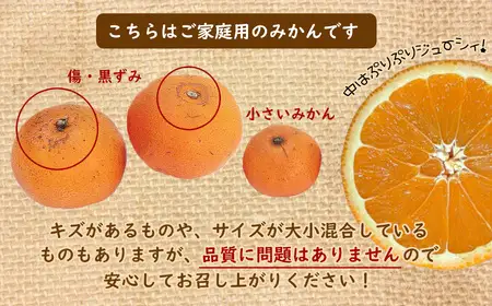 【訳あり】熊本県産 温州みかん 約16kg 味采市場