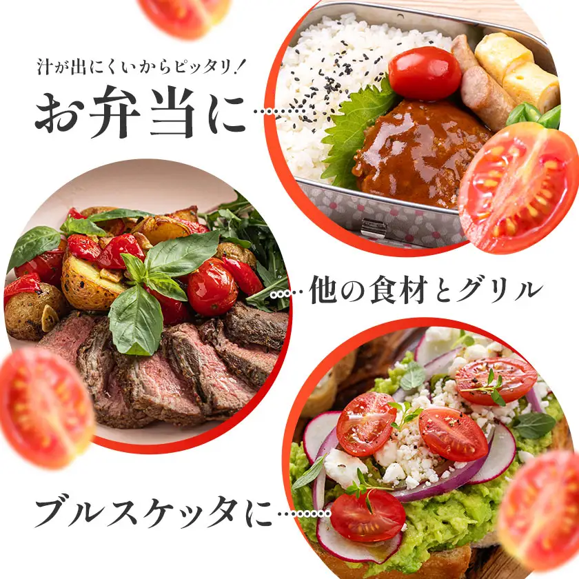トマト アイコトマト ミニトマト 2kg GOGO農園 