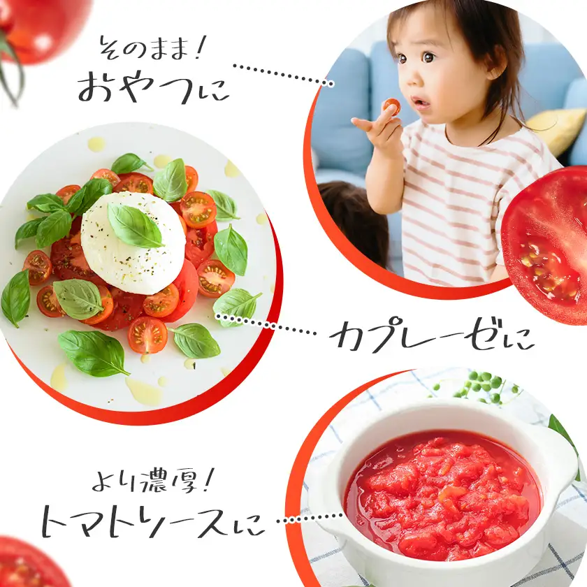 トマト キャロルセブン ミニトマト 2kg GOGO農園 