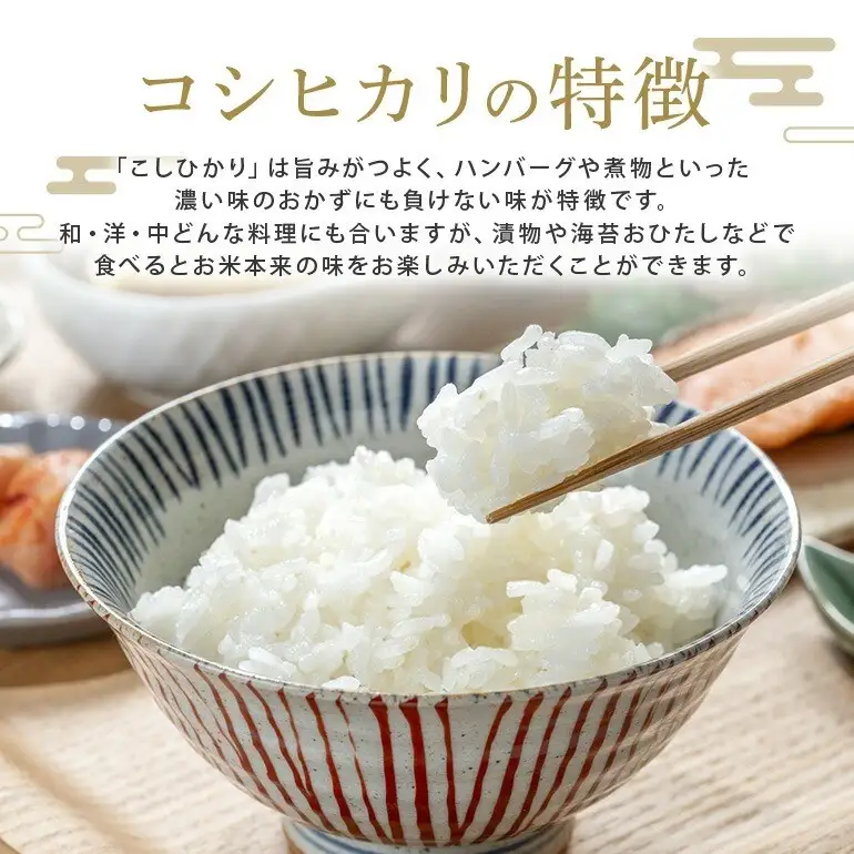常陸大宮産 コシヒカリ 10kg（5kg×2） 茨城県産 令和8年産 精米 【米】【ho1751】