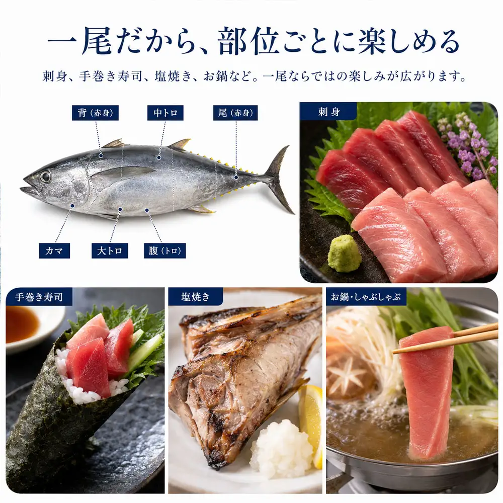 キハダマグロ 1尾 約2～2.5kg 約40～60cm 約8～12人前 下処理あり【R01758】