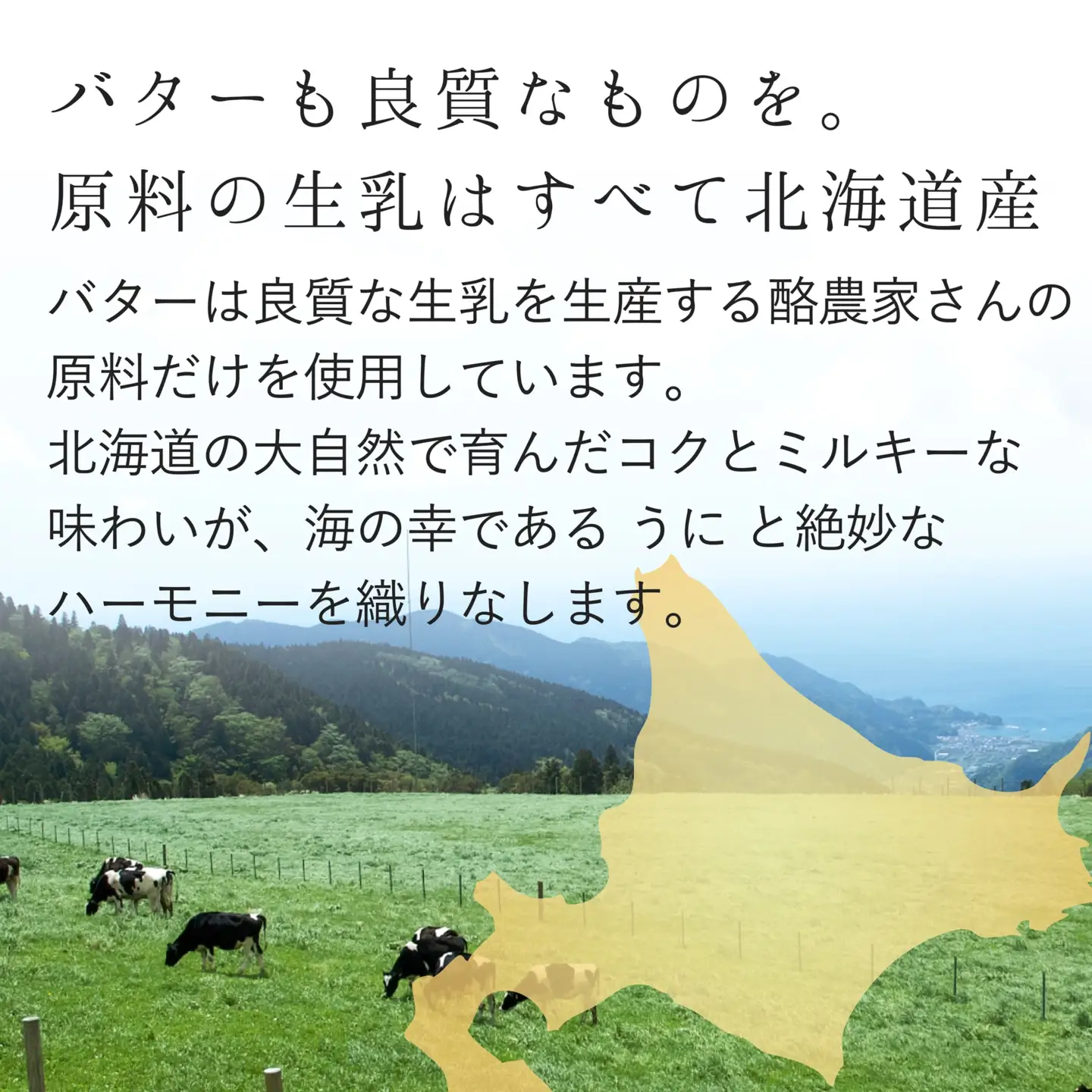 「うにむらかみ」うに屋のおいしい うにバター 30g×2本 HOKT014 | うにバター