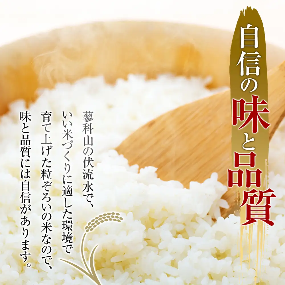 【令和8年産米】 信州たてしな産 御泉水米 こしひかり 10kg 特別栽培米