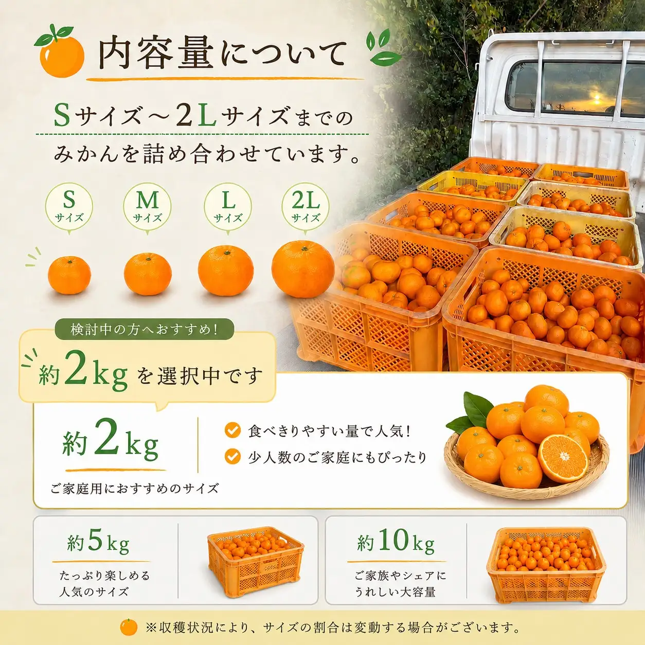  先行予約 年内発送 ふくちゃんちのみかん サイズミックス 約2kg  令和8年12月初旬～順次発送
