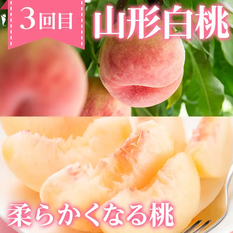 【定期便4回】ノノハナフルーツ 笑顔花咲く 食べ切り定期便  FY26-232
