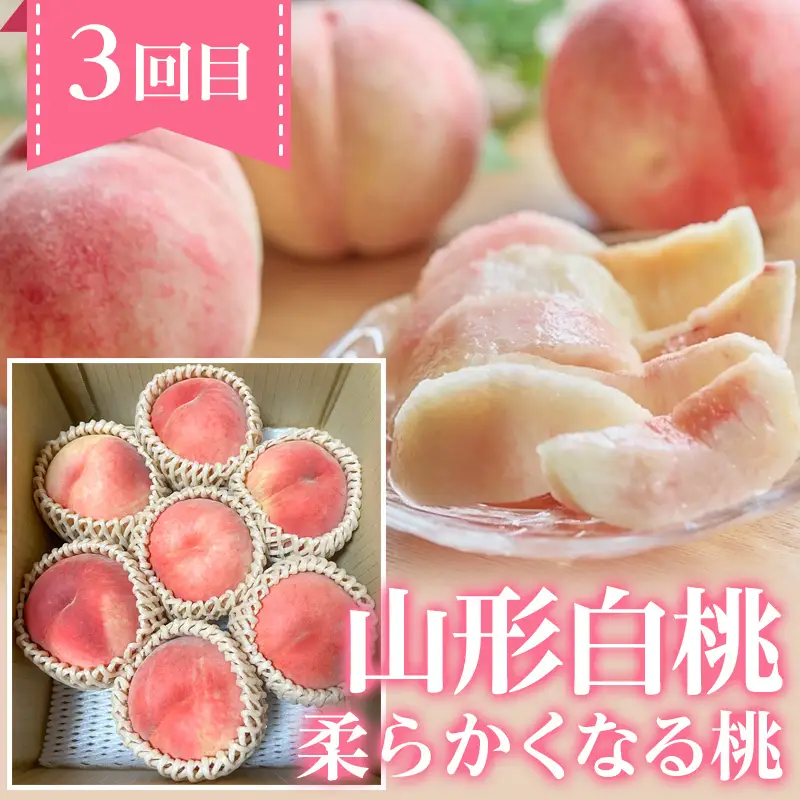 【定期便4回】ノノハナフルーツ 笑顔花咲く定期便 FY26-233