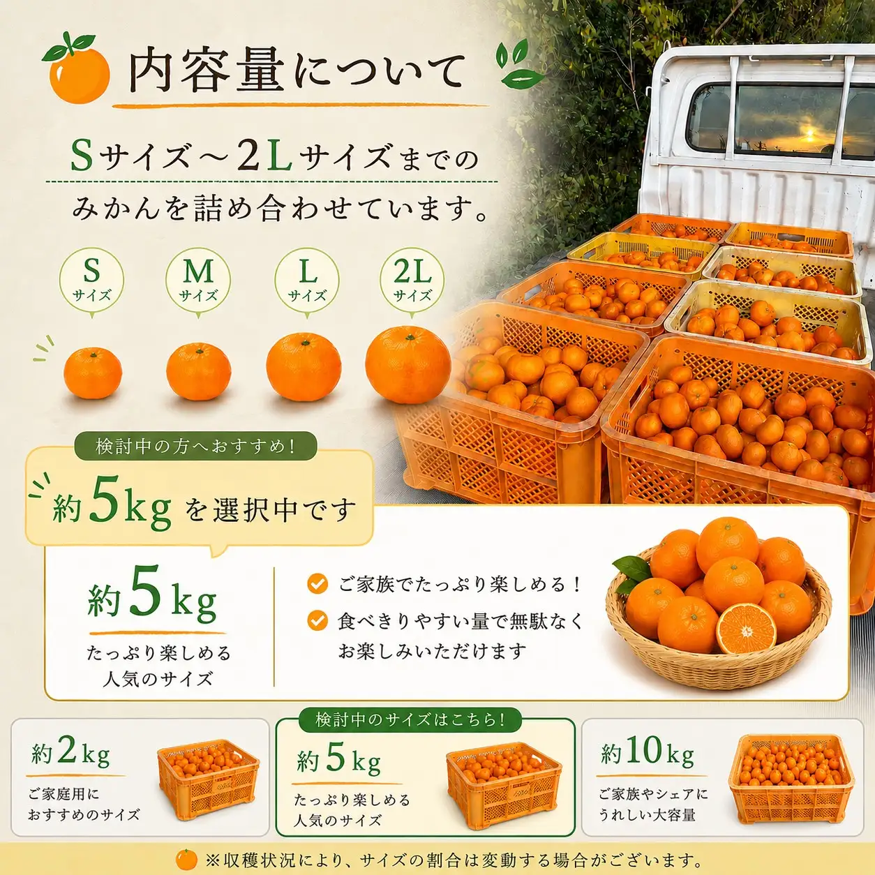  先行予約 年内発送 ふくちゃんちのみかん サイズミックス 約5kg  令和8年12月初旬～順次発送