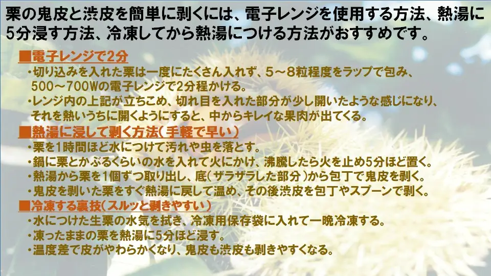 【先行予約】【数量限定】山形県小国町産　舟山栗園の生栗 1kg