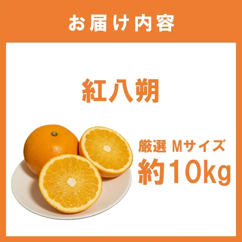 紅八朔 厳選 Mサイズ 約10kg【1348】
