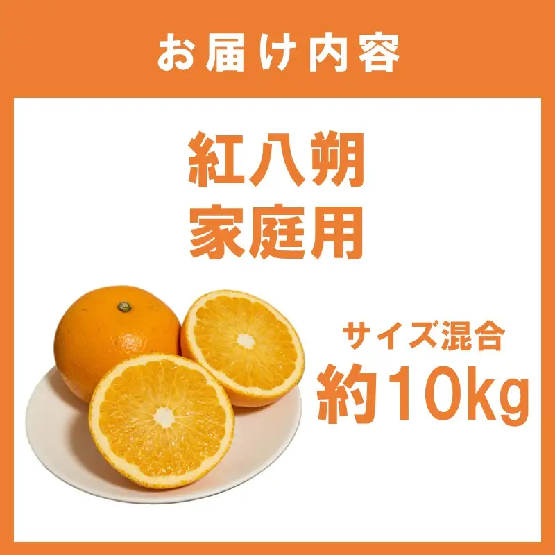 紅八朔 家庭用　サイズ混合 約10kg【1350】
