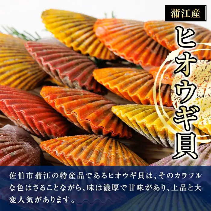 冷凍 ヒオウギ貝 (計20枚) 魚介 貝 ヒオウギ貝 ひおうぎ貝 酒蒸し 網焼き バター焼き バーベキュー 獲れたて 海の直売所 大分県 佐伯市【AS152】【海べ】