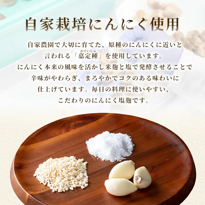 鹿児島県産 にんにく 塩麹 約120g 国産 発酵【悠希農園】P93002